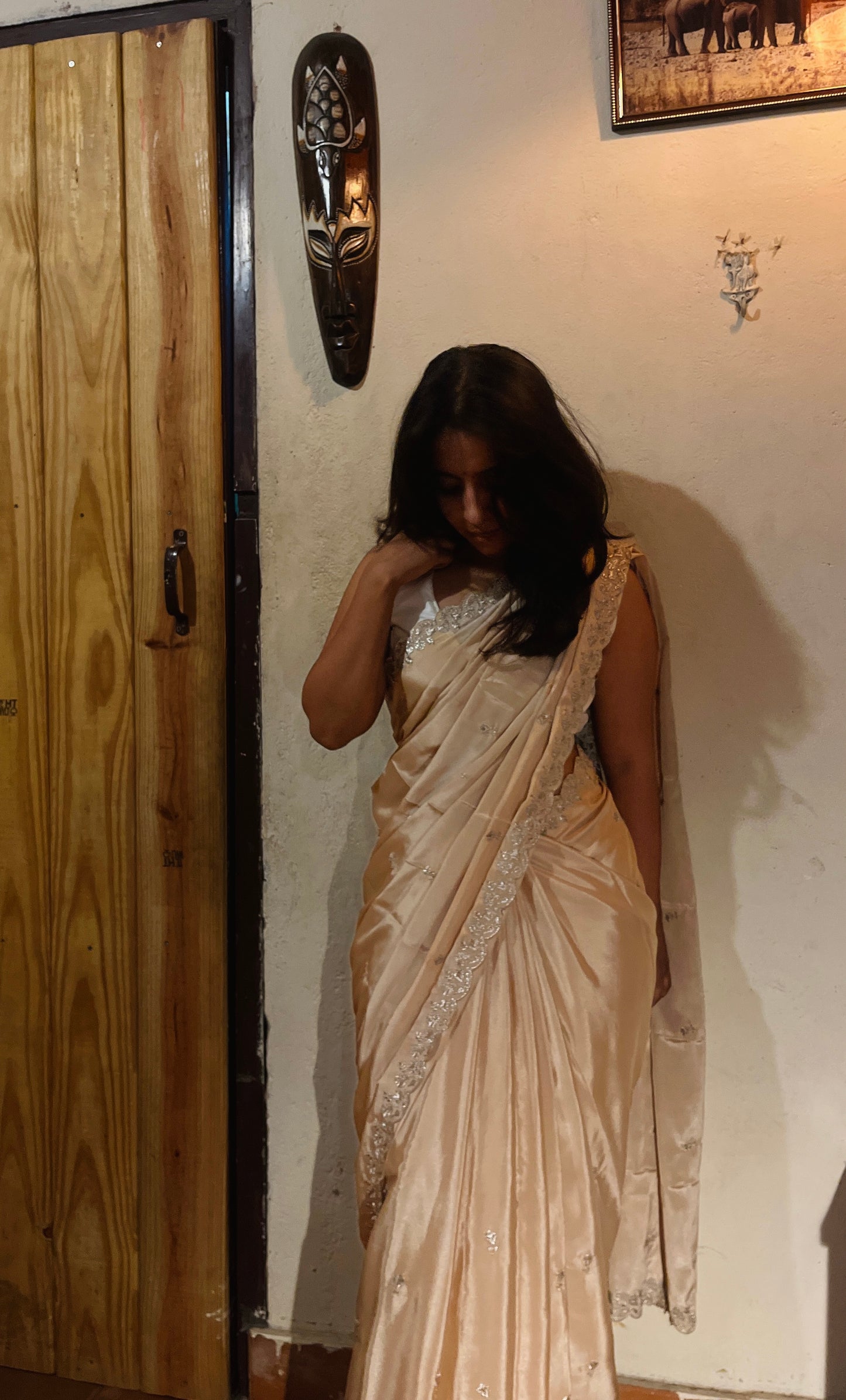 Pastel Chiffon Saree