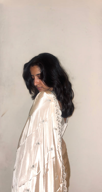 Pastel Chiffon Saree