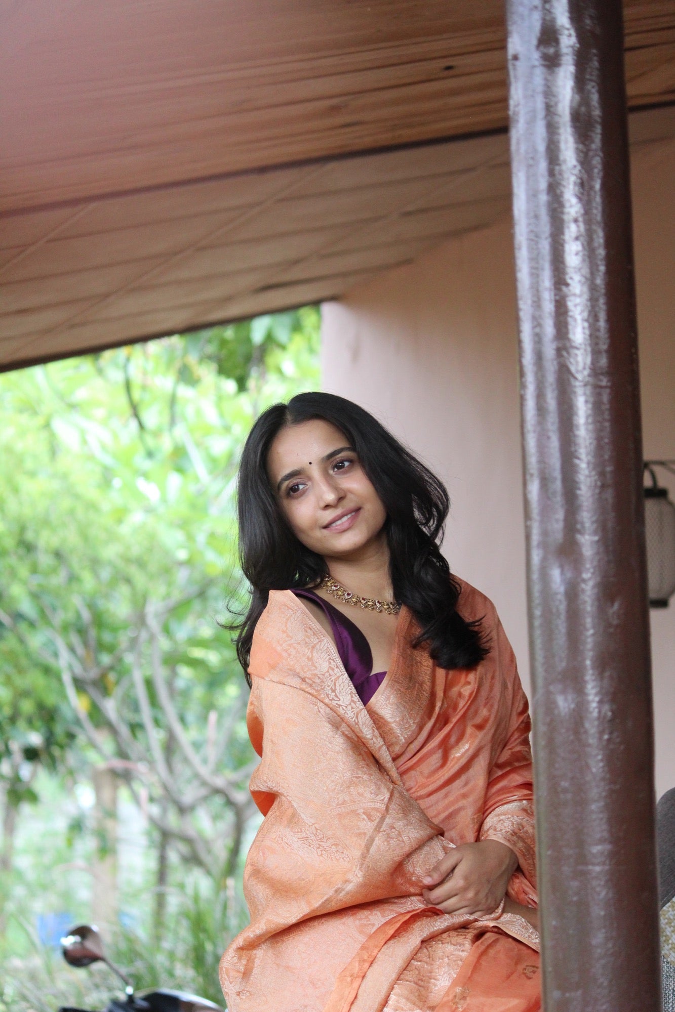 Lightweight Pastel Motif Silk saree